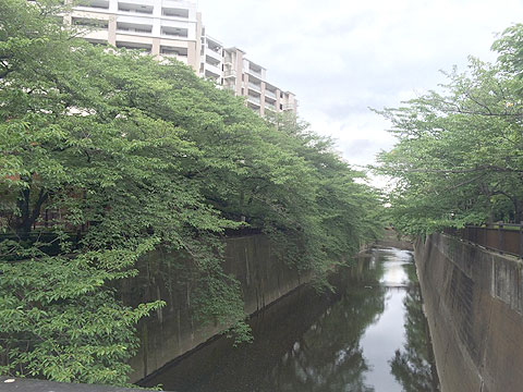 現地外観写真　石神井川（周辺施設）
