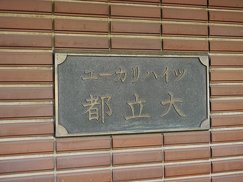その他共用部　写真1