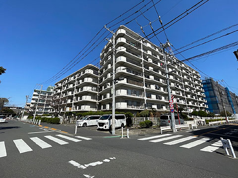 現地外観写真　南西見上げ外観