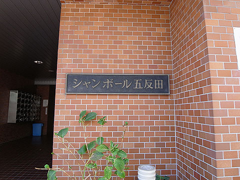 その他共用部　写真１