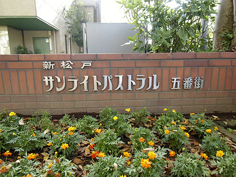 新松戸サンライトパストラル五番街ｂ棟のマンション情報 大京穴吹不動産 To