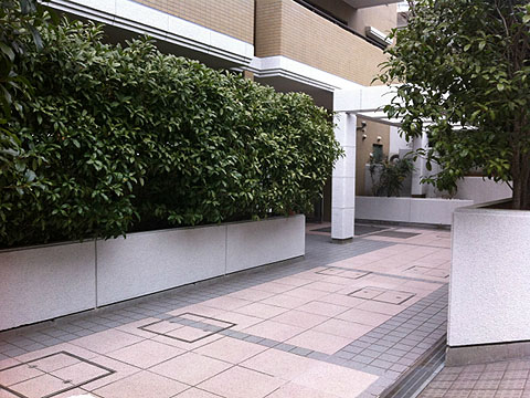 その他共用部　エントランス１