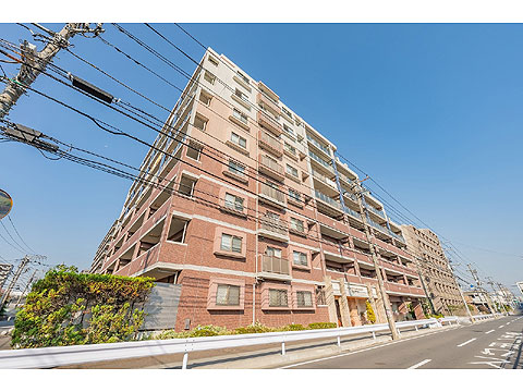 現地外観写真 外観