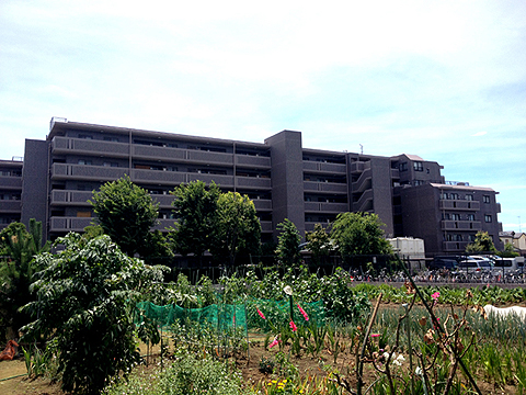 コスモ東大宮ロイヤルフォルムの売却査定 購入 価格情報 大京穴吹不動産 To コスモ東大宮ロイヤルフォルムの売却査定 購入 価格情報 大京穴吹不動産 To