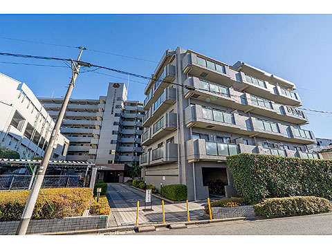 現地外観写真　外観４