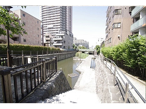 現地土地写真　古石場川親水公園