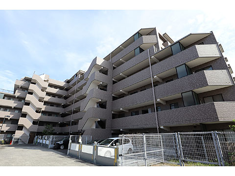 現地外観写真　IMG_9386