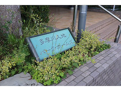 その他共用部　IMG_9369