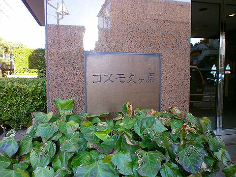 その他共用部　写真1