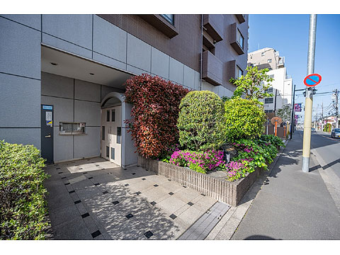 エントランス　DSC_6259