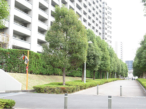 現地外観写真　整備された歩道と建物外観２