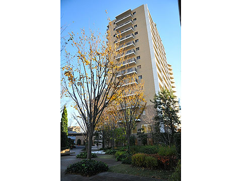 その他共用部　外観２