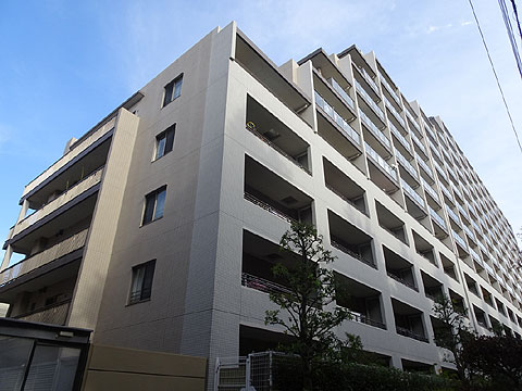 現地外観写真　マンション南側外観