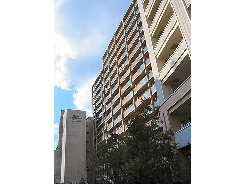 現地外観写真　マンション外観