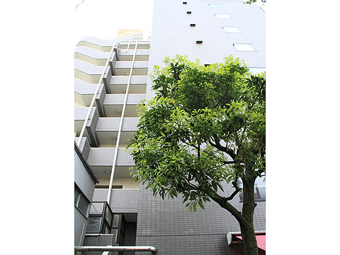 その他共用部　外観2