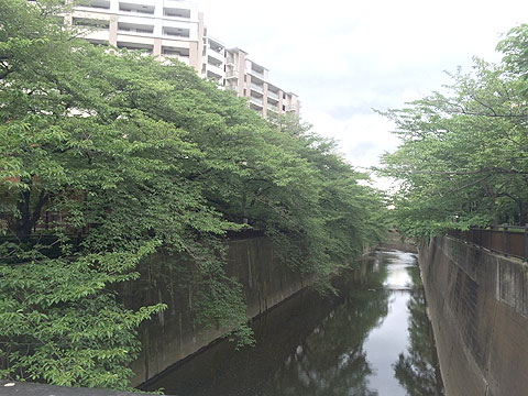 現地外観写真　石神井川（周辺施設）