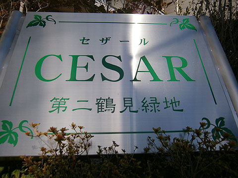 その他共用部　写真１