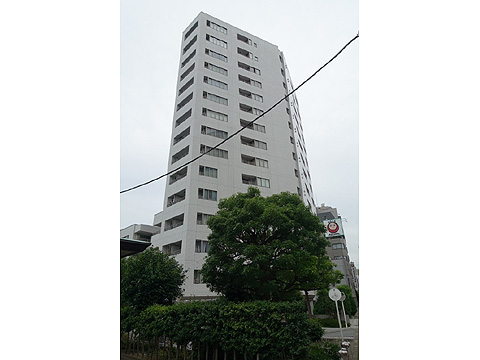 現地外観写真　DSC07808外観