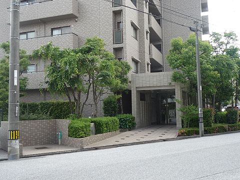 エントランス　ｓｐ　桟橋通り　 (1)