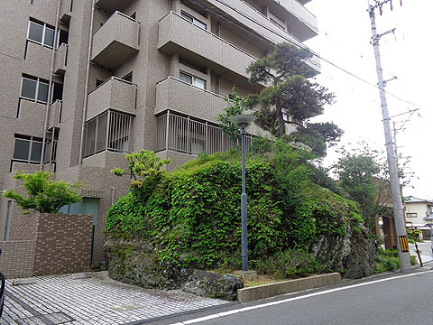 その他共用部　植込・大岩