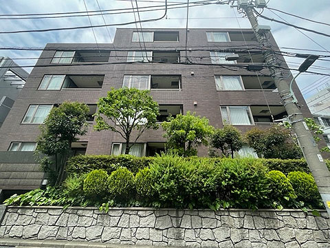 現地外観写真　フォルム5