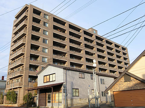 現地外観写真　落ち着いた住環境にあるマンション