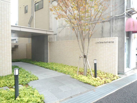 エントランス　α高知駅前②