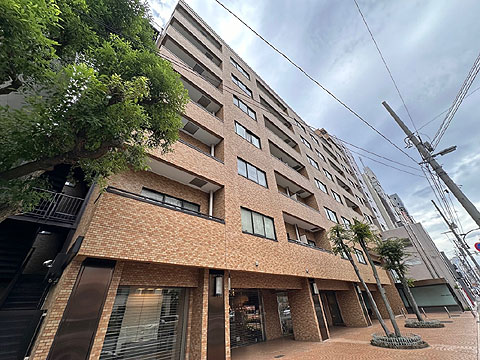現地外観写真　地上13階建