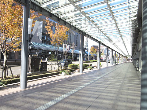 現地外観写真　現地前面道路