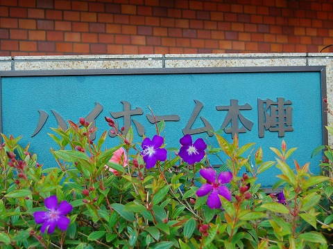 その他共用部　写真1