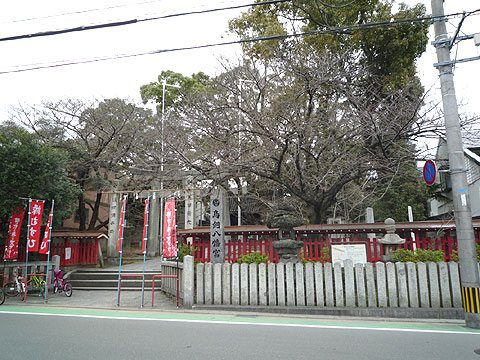 現地土地写真　P1020642