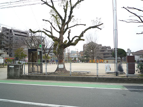 現地土地写真　P1020644