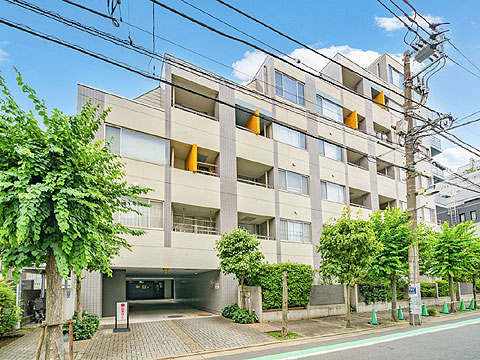 現地外観写真　グランドメゾン目黒南