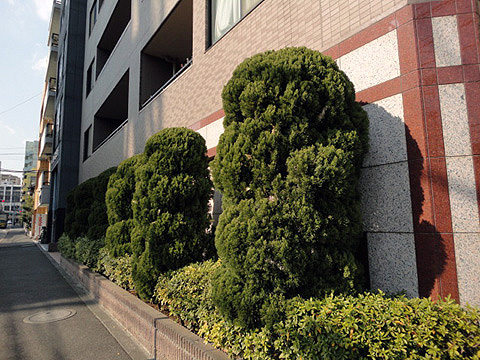 その他共用部　写真2