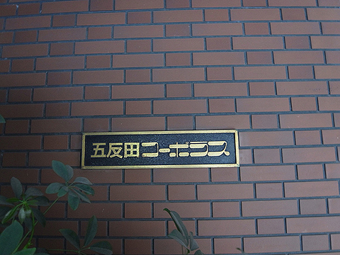 その他共用部　写真1
