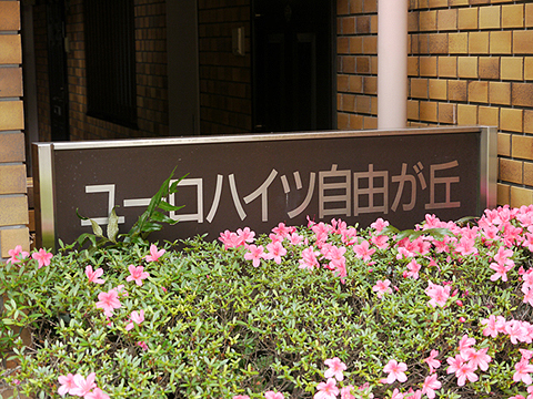 その他共用部　写真1