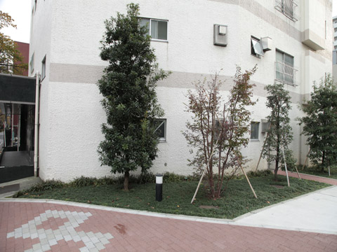 その他共用部　写真1