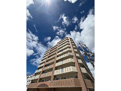 現地外観写真 外観