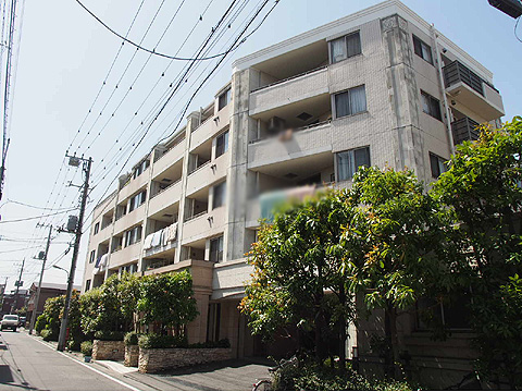 現地外観写真　マンション外観