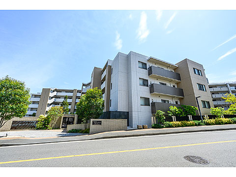 現地外観写真　マンション外観