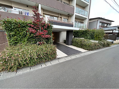 現地土地写真　