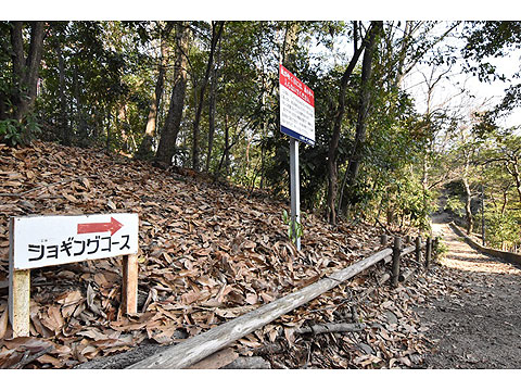 その他共用部　四季の散歩道・ジョギンクコース 