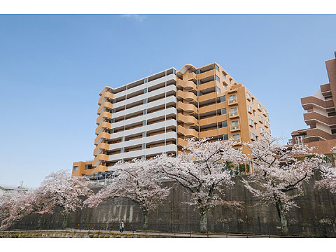 現地外観写真　ライオンズヒルズ多摩永山壱番館-6