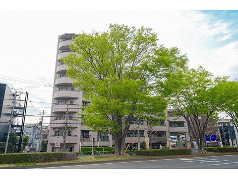 現地外観写真　ライオンズシティ聖蹟桜ヶ丘-1