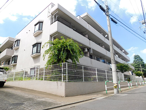 現地外観写真　現地外観（前面道路に歩道があります）