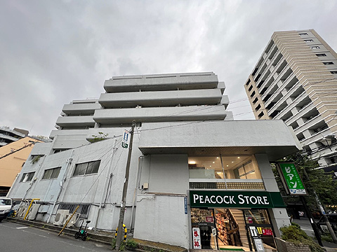 現地外観写真　マンション外観写真