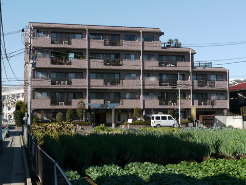 その他共用部　外観5