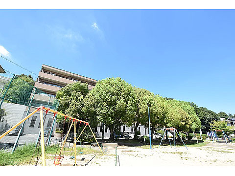 現地外観写真　池之内公園（５ｍ）から建物外観