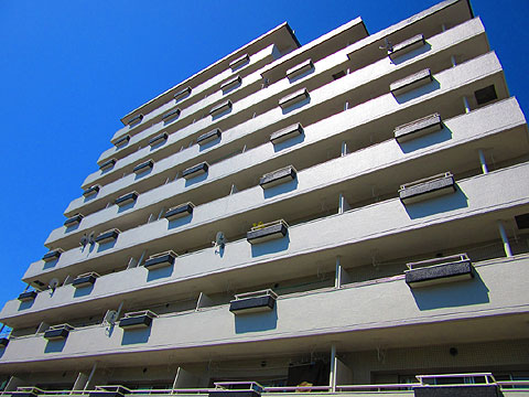現地外観写真　建物外観（北東側）