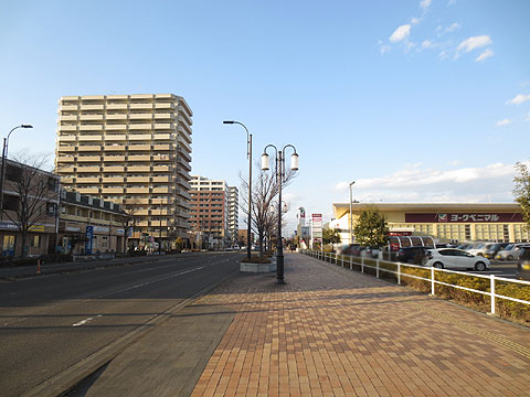 現地外観写真　JR仙石線「小鶴新田」駅へ続く大通りに面す。ヨ